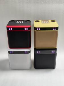 Altavoz Inalámbrico para Sistema de Karaoke al por Mayor, OEM ODM, con Luces LED RGB y 2 Micrófonos para Fiestas y Uso en Exteriores - Product Image 2