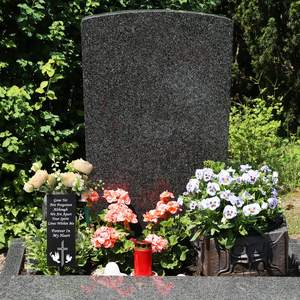 ชุดตกแต่งหลุมศพกลางแจ้ง <span class=keywords><strong>2</strong></span> ชุด แจกันทรงยาวแบบติดตั้งด้วยตะปู ดอกไม้ประดิษฐ์สำหรับสุสาน ติดทนนาน ไม่ซีดจาง เหมาะสำหรับคริสต์มาส ปีใหม่ และวันแม่ - Product Image 4