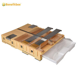 Bijenteelt Levert Bijenkorf Tool <span class=keywords><strong>Plastic</strong></span> Geventileerde Bodem Board <span class=keywords><strong>Pollen</strong></span> Val Bijenkorf Onderdelen - Product Image 5