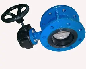 Iso 5752 Diameter Besar Worm Gear Operated Double Flange Butterfly Valve DN 125