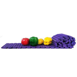 Módulo <span class=keywords><strong>de</strong></span> Banda <span class=keywords><strong>Transportadora</strong></span> 4012, Malla Abierta 4012, <span class=keywords><strong>Cinta</strong></span> <span class=keywords><strong>de</strong></span> Malla Recta 4012 para Limpieza <span class=keywords><strong>de</strong></span> Vegetales - Product Image 4