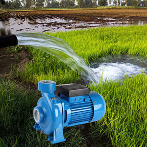 고유량 1마력 2인치 원심 펌프 고압 0.75kw 전기 관개 및 농업용 펌프 - Product Image 6