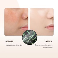 Krim BB Tanning 20g, Alas Bedak Concealer pemutih bedak padat cermin rias Puff jamur