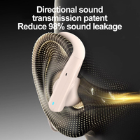 Cuffie Bluetooth D14 Personalizzate con Gancio per Orecchio, Microfono Integrato, Impermeabili IPX5, Auricolari Wireless per Ciclismo e Corsa