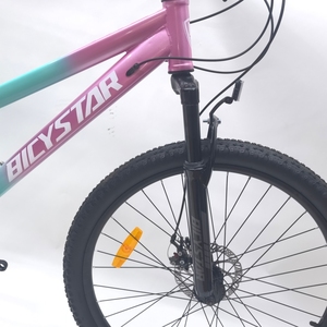 Bicystar 26 pulgadas 27,5 pulgadas freno de disco híbrido SUSPENSIÓN COMPLETA Mtb alta calidad 9 velocidades <span class=keywords><strong>bicicleta</strong></span> de montaña personalizar MTB <span class=keywords><strong>bicicleta</strong></span> deportiva - Product Image 3