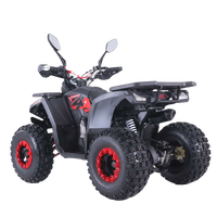 Pièces détachées Tao Motor automatiques 125CC pour Odes Atv Utv Bennche, démarrage électrique, transmission par chaîne, 2 roues motrices, quad électrique 1000w Xxl