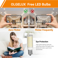 Mini ampoule Led CE/RHOS/ERP 3.5 4 4.5 4.8 6 7 Watt E14 ampoule d'éclairage Led
