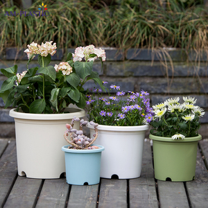 Bắc Âu Hiện Đại Vòng Trang Trí Nhựa Chậu Hoa Tùy Chỉnh Mọng Nước Trồng Cho Văn Phòng Nhà Vườn Nhà Máy Thiết Kế Mô Hình Độc Đáo - Product Image 6