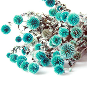 Flores decorativas coloridas al por mayor cardo de globo seco <span class=keywords><strong>Echinops</strong></span> secas flores de Eryngium azul preservadas para la decoración de la boda del hogar - Product Image 3