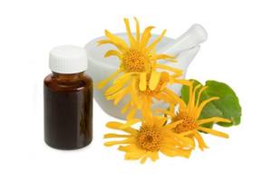 卸売純粋な<span class=keywords><strong>Arnica</strong></span>モンタナエキス粉末<span class=keywords><strong>Arnica</strong></span>モンタナエキス - Product Image 3