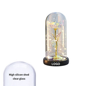 Hadiah Hari Valentine kustom kubah mawar bunga kering lampu Wanita plastik hadiah mawar dengan kotak - Product Image 3