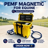 Appareil de thérapie électromagnétique PEMF équine MagFlex Loop pour chevaux, couverture du champ magnétique des articulations du jarret, réduction de la douleur
