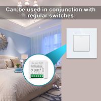 Touchmi Tuya RF433 16A Mini Interrupteur Intelligent Wi-Fi pour Commande d'Éclairage Domotique