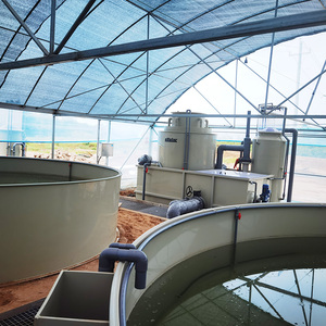 Piccola macchina per sistemi <span class=keywords><strong>di</strong></span> <span class=keywords><strong>pesci</strong></span> integrati All-in-one o Mini attrezzatura per acquacoltura <span class=keywords><strong>di</strong></span> gamberetti da interni in vendita - Product Image 6