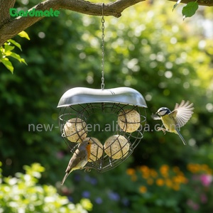 Mangeoire à oiseaux en forme <span class=keywords><strong>de</strong></span> cœur pour jardin extérieur, cour, balcon, mangeoire suspendue pour oiseaux sauvages - Product Image 4