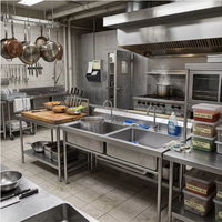 Évier professionnel double bac en acier inoxydable robuste, finition résistante aux produits chimiques, capacité de charge de 100 kg, pour grandes cuisines commerciales