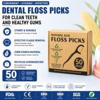 Fil dentaire biodégradable avec cure-dents, écologique, naturel, 50 pièces, boîte en papier, OEM personnalisé, saveur menthe, soins bucco-dentaires