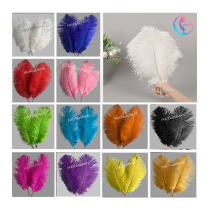 Plumes d'autruche teintées spectaculaires de 30-35 cm (50 pièces/sac) – Couleurs personnalisables – Marque HKFeathers pour mariages thématiques et burlesque - Product Image 5