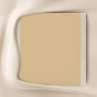 Interruptores y Enchufes de Pared WESA Ultrafinos con Botón Pulsador EU 1/2/3 Vías, Enchufe de Alimentación de 1 Vía, Combinación Libre, Diseño Moderno de Lujo