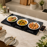 Plateau chauffant électrique pliable multi-panneaux blanc flexible à grande surface en verre pour réunions de famille