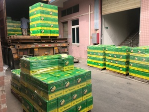 Batteria TOASAN DIN60 12V60AH a Carica Secca di Piccole <span class=keywords><strong>Dimensioni</strong></span> e Alte Prestazioni per Veicoli e <span class=keywords><strong>Auto</strong></span> - Product Image 6