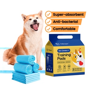 Almohadillas Absorbentes de Orina para Perros, Desechables, para Entrenamiento de Cachorros, con Logotipo Personalizado OEM ODM, Venta al Por Mayor - Product Image 1
