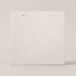 Piastrella in Pietra Naturale Calcare Bianca 20x20 a Grana Grossa - Product Image 1