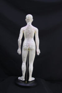 Modelo de punto de acupuntura humana CM, equipo de enseñanza médica, modelo de acupuntura de cuerpo humano - Product Image 4