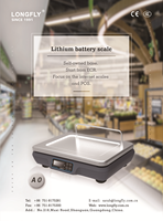 LongFly Factory Venta al por mayor Balanza electrónica digital 6kg 15kg 128*32 LCD A0 Pesaje Caja registradora POS Caja registradora
