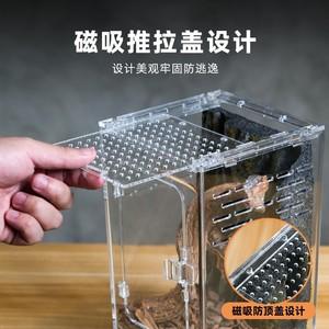 Boîte d'élevage en <span class=keywords><strong>verre</strong></span> acrylique BG Old Man Tree Frog pour reptiles et serpents, terrarium décoré pour gecko à cils avec porte à ouverture frontale - Product Image 4