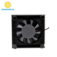 WellSunFan ODM OEM Refroidisseur CPU VGA 40 mm de petite taille en aluminium avec roulement à bille pour disque dur