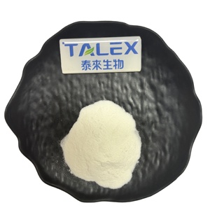 Enzima Detergente Industrial – Mezcla de Alfa Amilasa y Proteasa, 700,000 U/g, 1 kg/Bolsa - Product Image 1