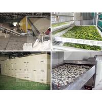 Séchoir à ceinture de 30 tonnes de capacité Feuilles Fleurs Cerfeuil Menthe poivrée Stevia Lemongrass Marjolaine Matériel de séchage