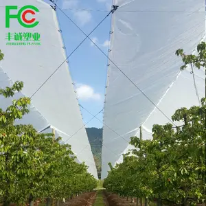 Penutup Tahan Hujan Perlindungan Orchard Cherry Tenunan Plastik Bening Tepi Diperkuat Penutup Ceri Tenun Bening Hdpe