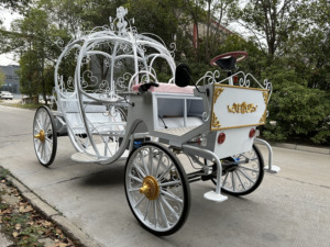 Carruaje de Novia Eléctrico Personalizado en Forma de Calabaza, Estilo Princesa Cenicienta, para 4-6 Personas, Transporte Especial para Bodas - Product Image 2