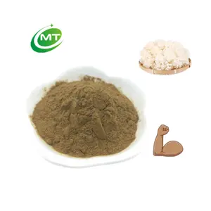 Factory Direct Low Price Natural Wholesale High Quality Free Sample Organic Sparassis Crispa Powder