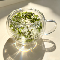 Mug en verre à double paroi avec fleurs séchées naturelles vertes, tasse à café ou à thé isolée en borosilicate résistant à la chaleur avec poignée
