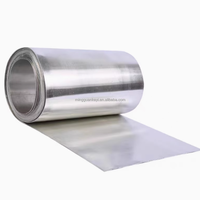 Feuille d'étain expérimentale de haute pureté Sn99.99 % 0.02*100*100mm