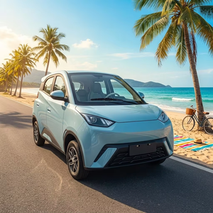 Nuevo coche eléctrico de 60V, cuatro puertas, cinco plazas, fabricado en China, con cámara de marcha atrás, ideal para desplazamientos familiares. - Product Image 1