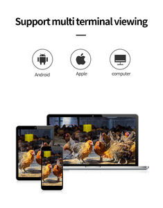 Cámara de detección de movimiento con visión nocturna para seguridad del hogar, <span class=keywords><strong>Mini</strong></span> cámara oculta Hd de tamaño pequeño, Cctv secreto - Product Image 5