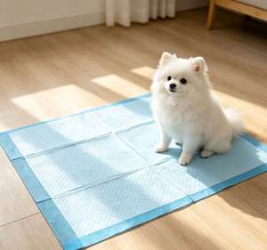 Coussinets d'apprentissage jetables pour animaux de compagnie, absorbants, avec logo personnalisé et bandes adhésives - Product Image 1