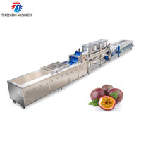 Fruit Juicing Productielijn Oranje Ozon Bubbel Passievrucht Wassen Sorteermachine Gedehydrateerde Ui Productielijn