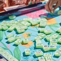 Ensemble de Mahjong américain de luxe Garden Glow sur mesure avec perles matcha, tuiles en acrylique de luxe pour collectionneurs, soirées jeux chics