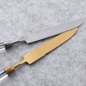 Chất lượng cao 304 thép không gỉ Flatware Set với màu sắc rõ ràng hoặc rắn Arylic nhựa xử lý bảng dao nĩa và muỗng - Product Image 5