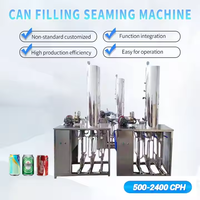 TOPTION Machine de remplissage semi-automatique de boissons gazeuses sodas de jus de lait pour bouteilles en plastique Moteur comme composant de base