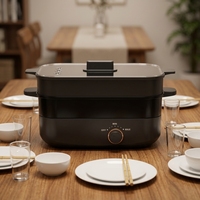 Prix usine 5L multifonctionnel antiadhésif carré en verre trempé marmite à économie d'énergie cuisinière électrique domestique pour la maison RV