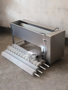 Lave-œufs haute capacité à vendre, petit lave-œufs, machine à laver les œufs de poule - Product Image 5