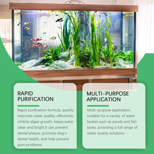 Suero Capilar en Roll-on de Romero y Árbol de Té de Marca Blanca, Cuidado del Cabello con Aceites Esenciales Orgánicos, Esencia para el Crecimiento del Cabello para Cuero Cabelludo Seco - Product Image 4