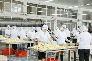 Champignons noirs coupés et surgelés individuellement (IQF) en paquet de 10 kg pour une excellence culinaire et des régimes alimentaires sains - Product Image 6