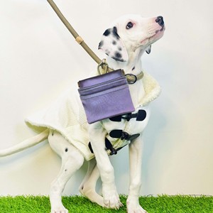 Muestra Gratis de Bolsa Cruzada para Pasear Perros, Riñonera para Dueños de Perros, Impermeable, Personalizada, para Premios de Entrenamiento, Bolsa de Compras - Product Image 2